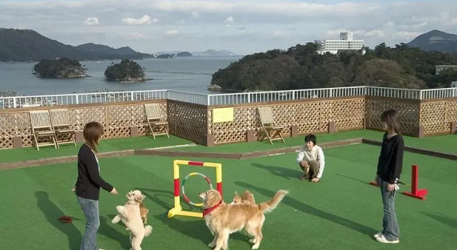 Люкс Royal Wan Wan Paradise Toba