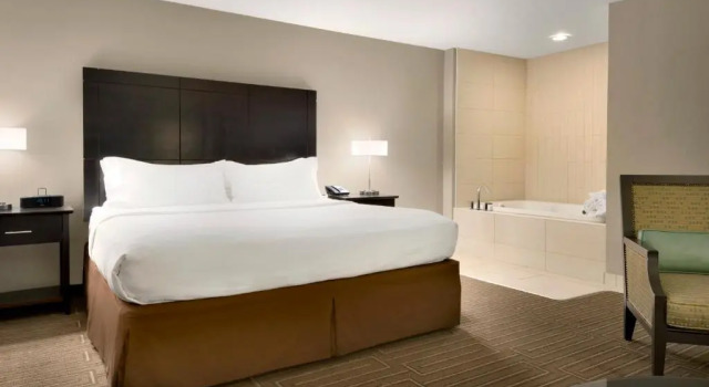 Люкс Holiday Inn & Suites Duluth-Downtown by IHG