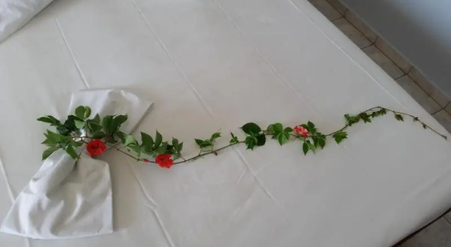 Одноместный номер Standard с балконом Astir Palace Hotel
