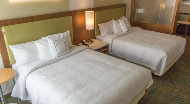 Двухместный люкс SpringHill Suites by Marriott Sumter