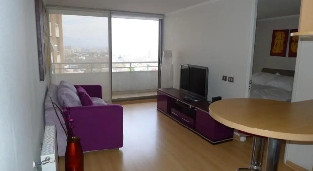 Апартаменты c 1 комнатой с видом на город Chilean Suites Providencia