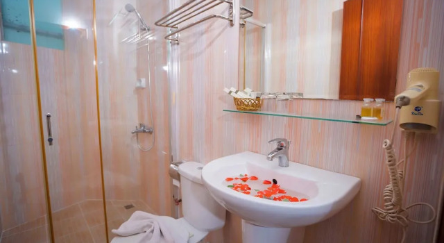Двухместный номер Deluxe Silver Mounts Hotel