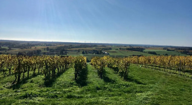 La Maison Haute, Prenota Hotel Lys-Haut-Layon 