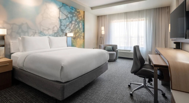 Двухместный номер Standard Courtyard by Marriott Petaluma Sonoma County