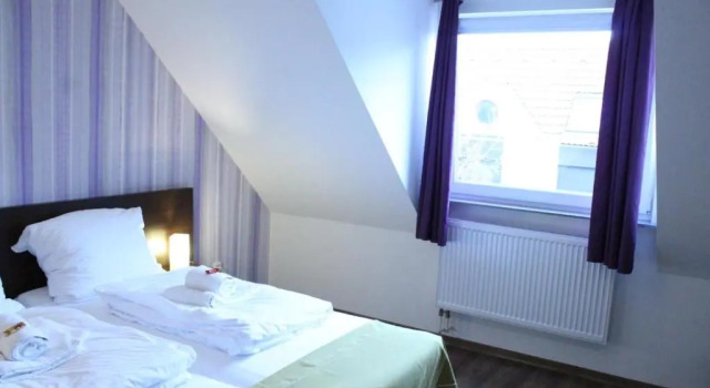 Трёхместный номер Economy Hirsch Hotel Hanau