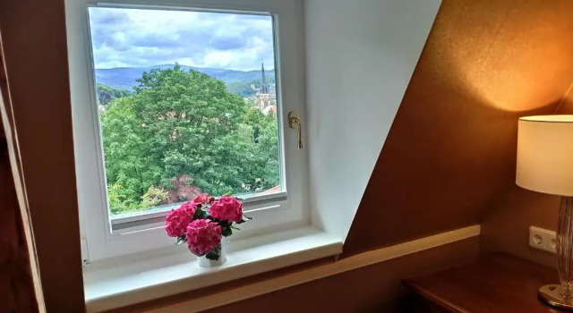 Номер Comfort Hotel Erbprinzenpalais