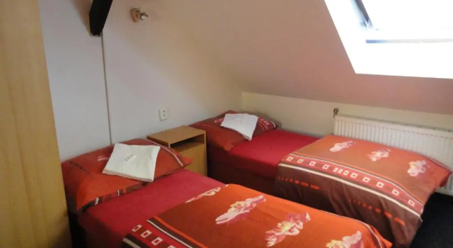 Двухместный номер Standard Hotel u Nádraží Lanžhot