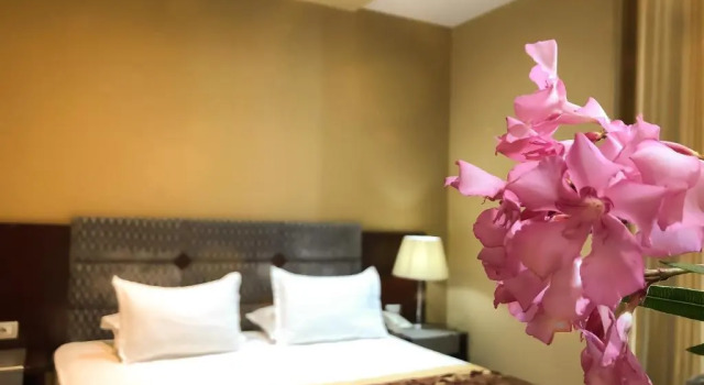 Номер Deluxe Hotel Arifi