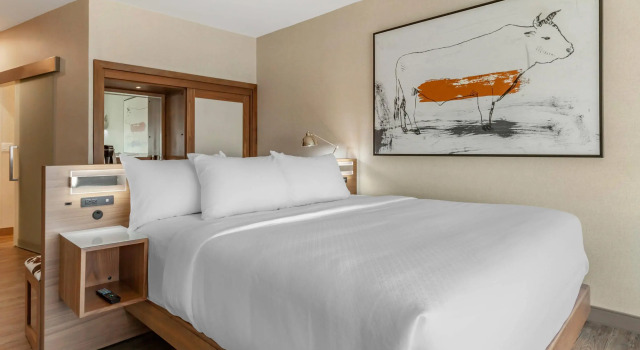 Двухместный номер Standard Cambria Hotel Plano - Richardson Garland