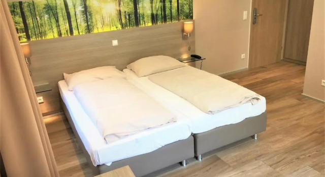Номер Standard Hotel Scheid