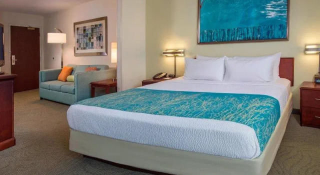 Люкс Standard SpringHill Suites Raleigh-Durham Airport/Research Triangle Park
