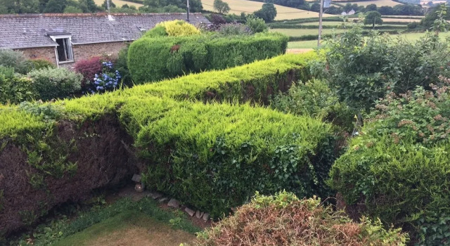 The Grange Bed And Breakfast