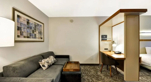 Студия SpringHill Suites Tallahassee Central