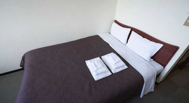 Hotel Select Inn Tsuruga