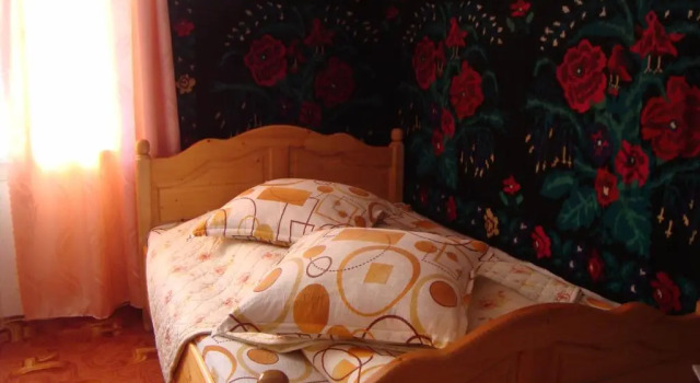 Номер Standard Pensiunea Casa Rodica