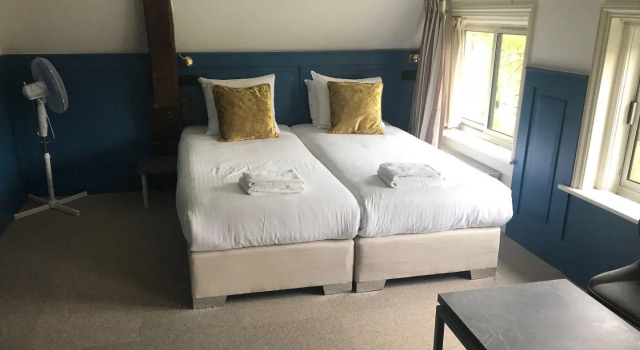 Двухместный номер Standard Hotel Royal Bridges
