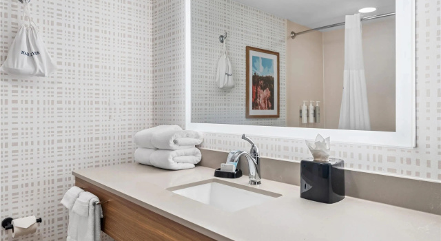 Одноместный номер Standard Hampton Inn & Suites Tifton