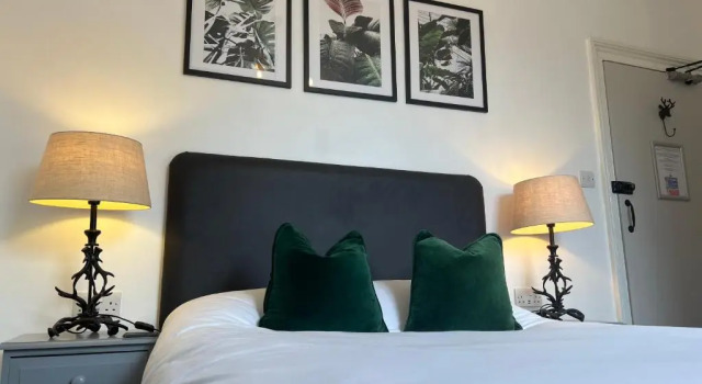 Camera doppia Standard Castle Hotel