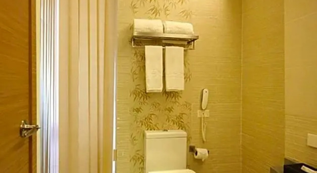 Номер Deluxe Greenleaf Hotel Gensan
