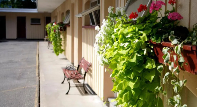 Номер Standard Sunset Motor Inn