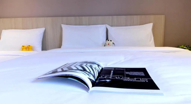 Трёхместный номер Deluxe Pacific Express Hotel Chinatown