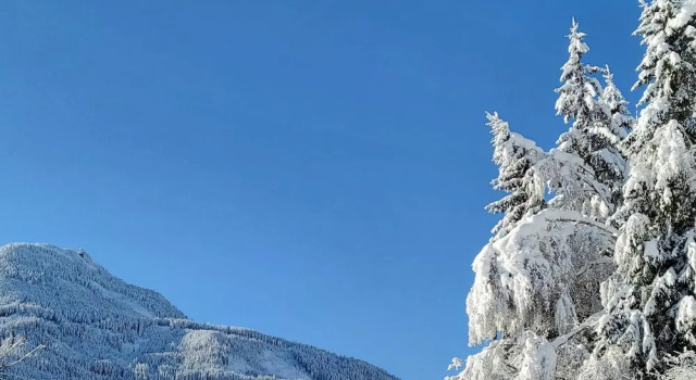 Апартаменты Penthouse in Wildkogel With Mountain Views