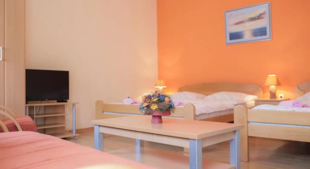 Студия с красивым видом из окна Palace apartments Mostar