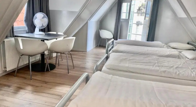 Четырёхместный номер Standard The White Tulip Hostel