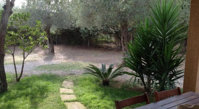 Gli Ulivi