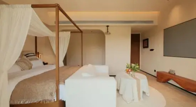 Люкс Xianghu Anna Arts Hotel