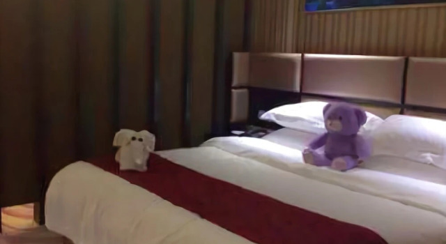 Shanshui International Business Hotel, Rezerwuj Hotel Xinyu Jiangxi