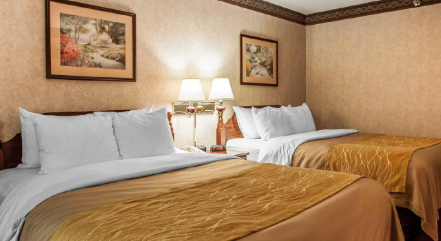 Четырёхместный номер Standard Quality Inn Midway