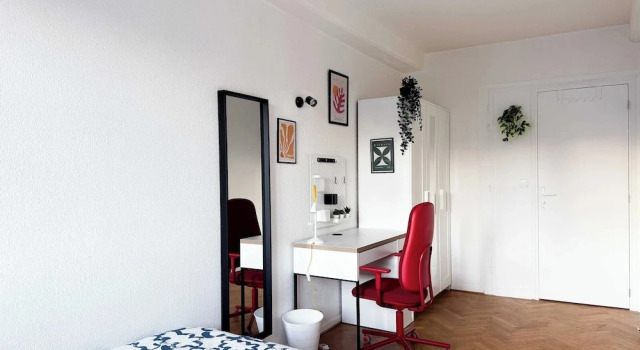 Cozy Room in a Friendly Shared Flat - Lyon 8th