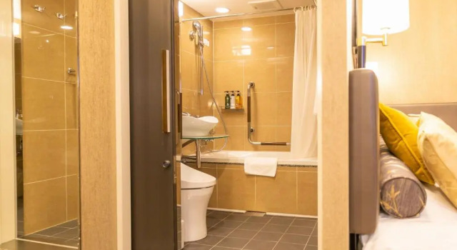 Двухместный номер Deluxe APA Hotel Komagome Ekimae