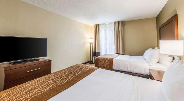 Четырёхместный люкс Comfort Inn & Suites Greenwood near University