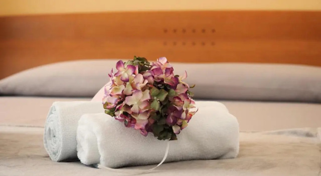 Номер Standard Hotel Florida Mar