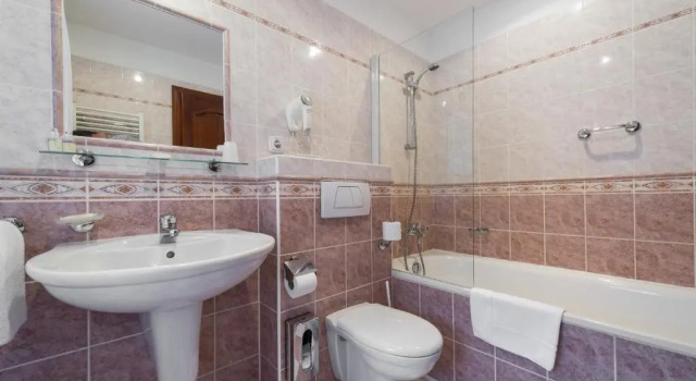 Habitación Estándar Hotel Cerny Slon