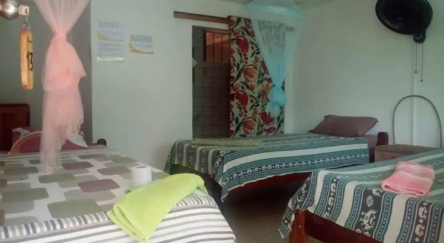 Номер Standard Lobo Hostel Rurrenabaque