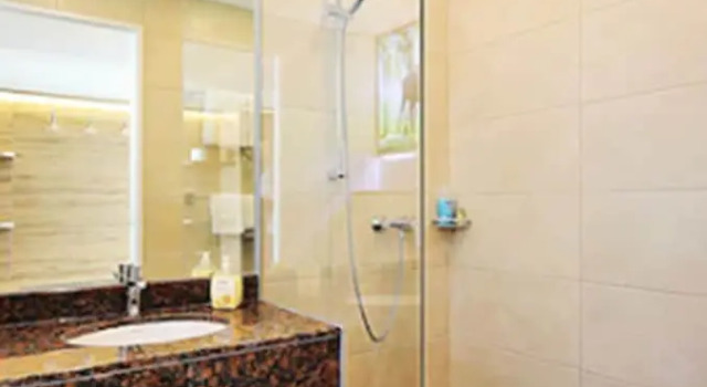 Одноместный номер Standard Green Deer Bavarian Hotel