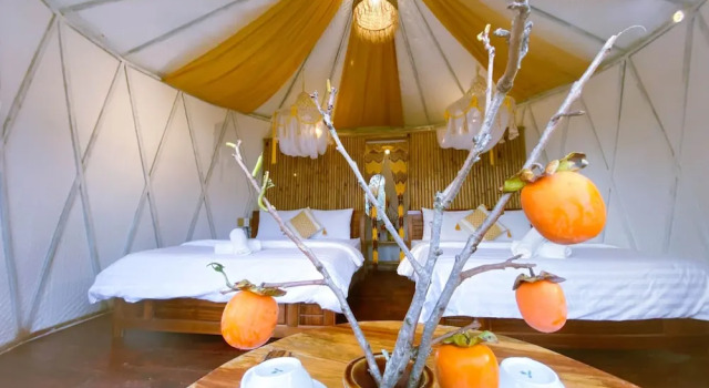 Двухместный номер Standard Mộc Glamping & Ecohouse