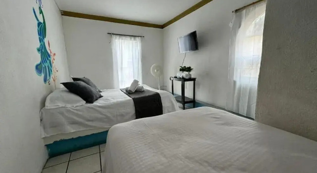 Номер Comfort Hotel El Mexicano Tepic Centro