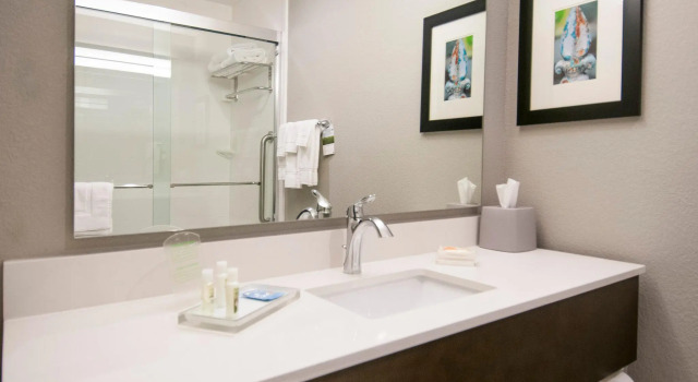 Двухместный номер Standard Holiday Inn - New Orleans Airport North by IHG