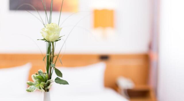 Двухместный номер Standard Hotel Pfälzer Wald