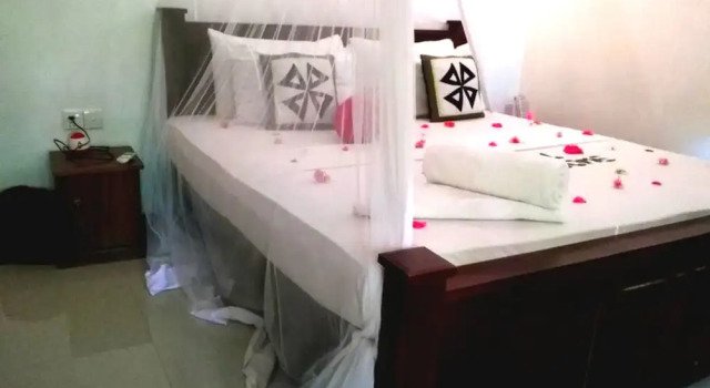 Шале Deluxe c 1 комнатой с видом на сад Habarana Tree House - Ivory cottage