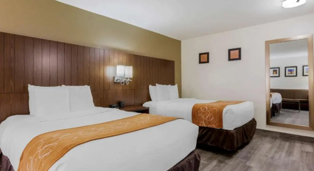 Двухместный люкс Standard Comfort Suites Tucson near Sabino Canyon