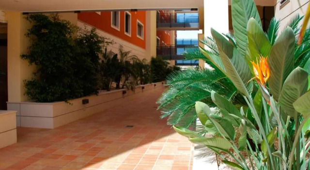 Апартаменты с 2 комнатами Las Flores Apartment