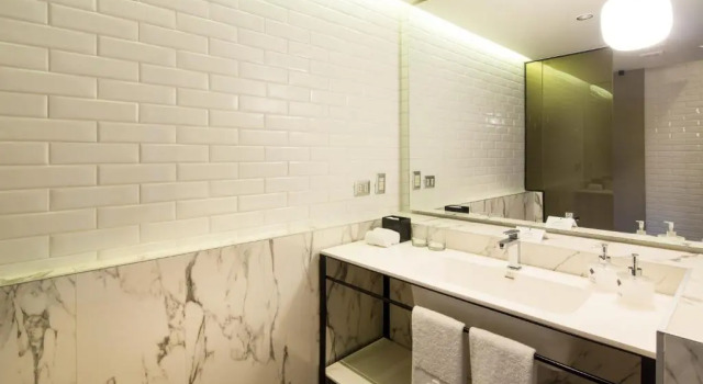 Двухместный номер Superior с видом на парк Hotel Altiplanico Bellas Artes