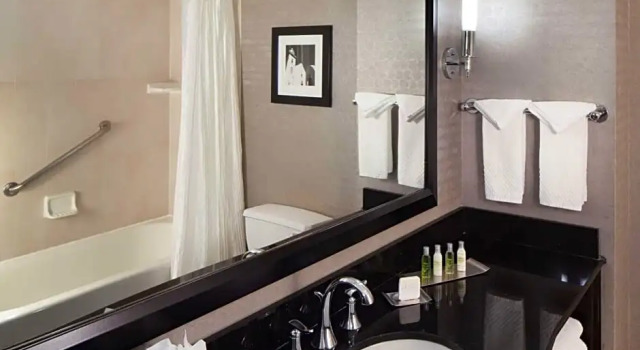 Двухместный номер Standard с балконом DoubleTree by Hilton El Paso Downtown