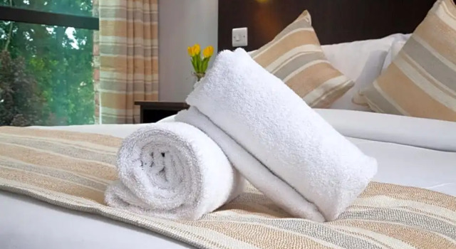 Номер Deluxe London City Airport Hotel