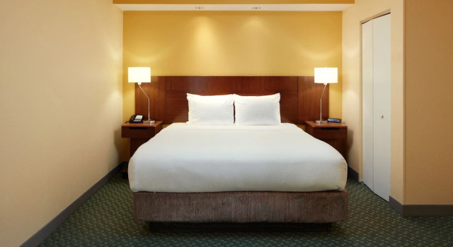 Двухместный люкс Fairfield by Marriott Frankfort